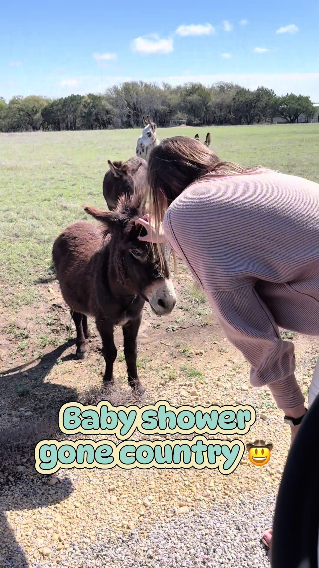 She’s gone country…and so did the baby shower! Ended this beautiful shower with a country style safari 🐄 🤠 🫏