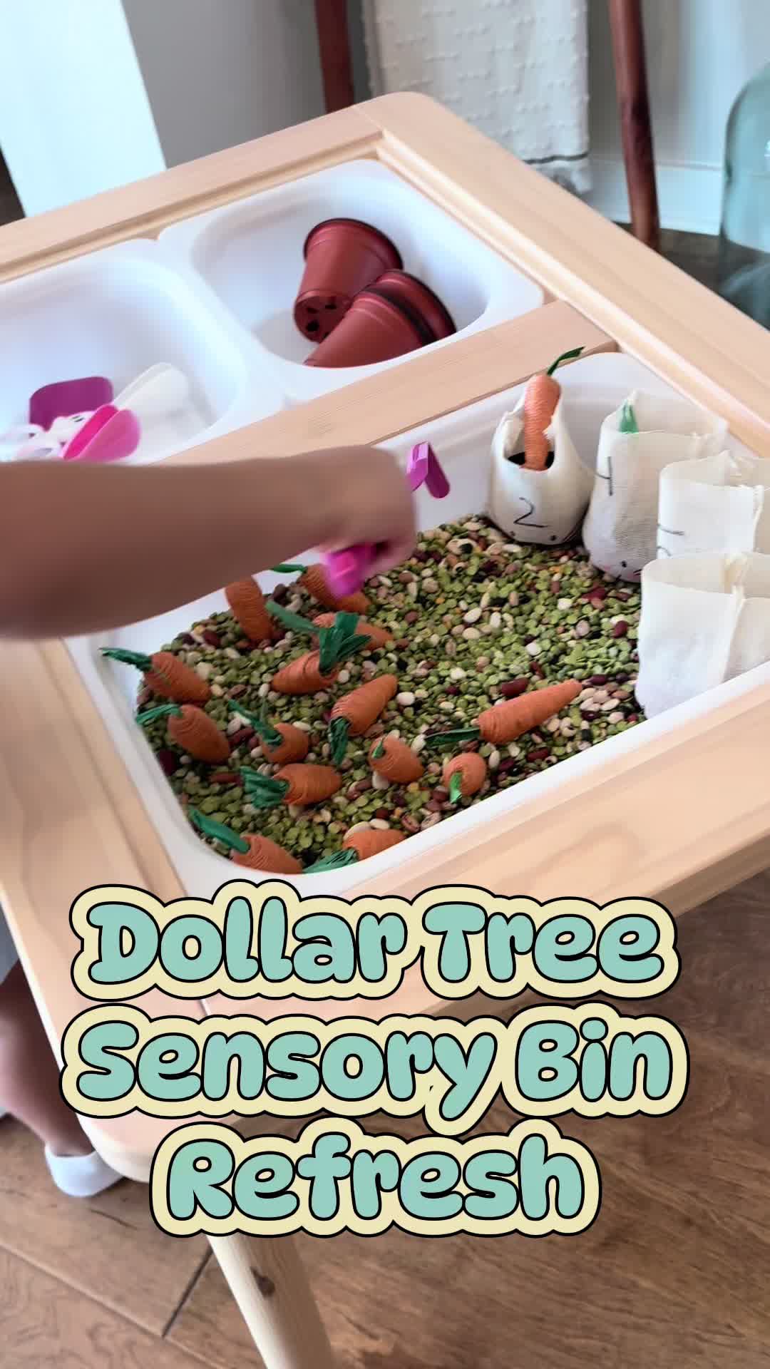 Sensory bin refresh! Carrot 🥕 counting and gardening!   #